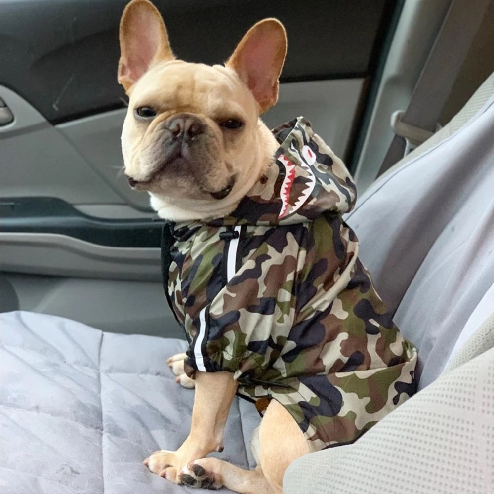 A Barking Pup Bape Camo Dog Windbreaker